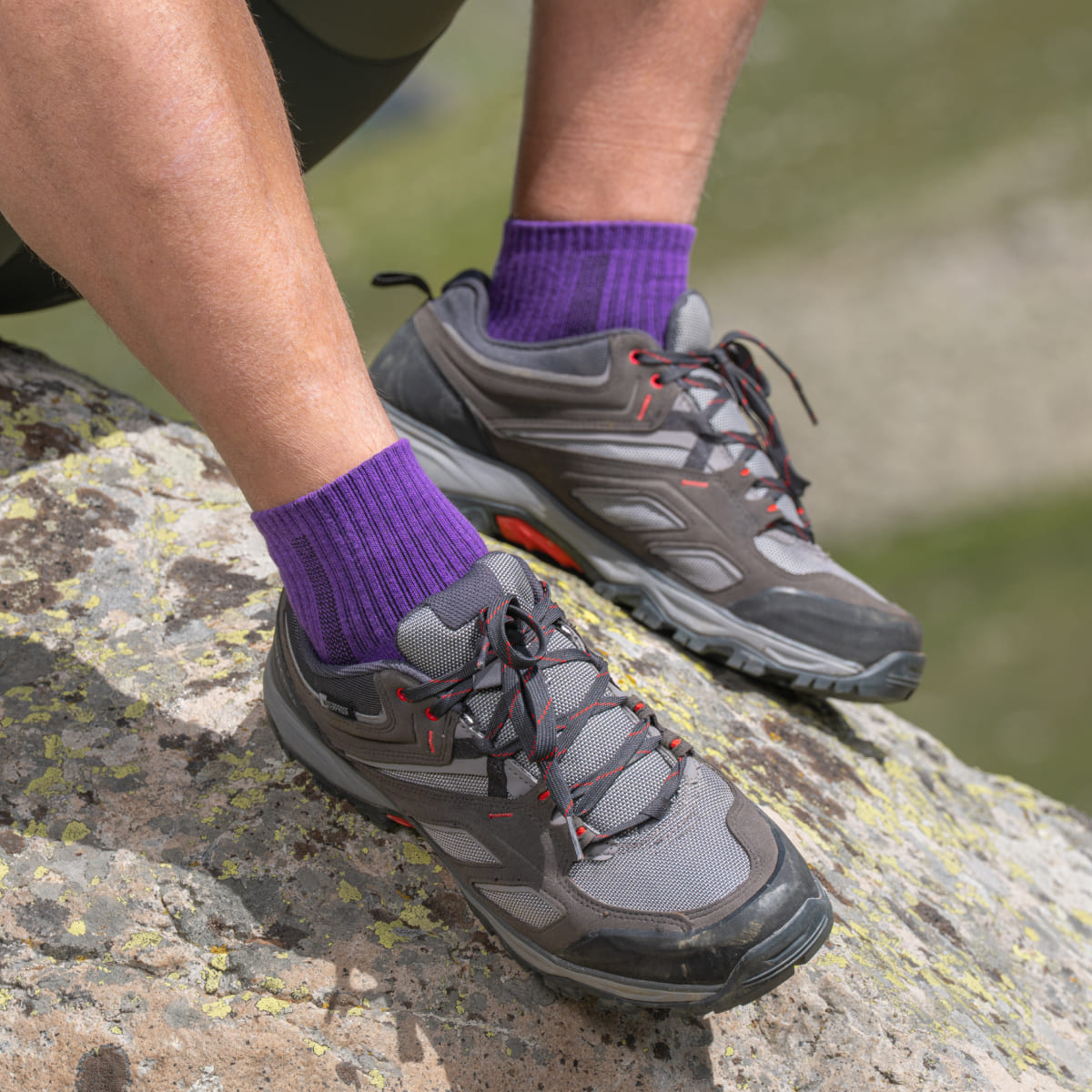 Hiking - Violet - Chaussettes Basses (1 paire)